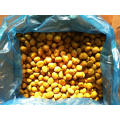 IQF Frozen Peeled Chestnut Castanea Sativa